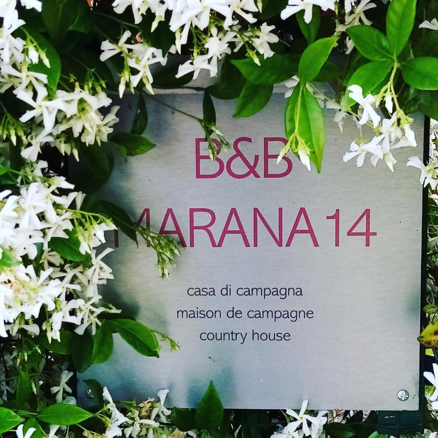 B&B Marana 14 Casa Di Campagna 볼로냐 외부 사진