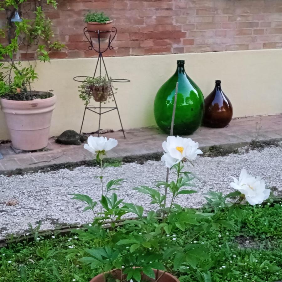 B&B Marana 14 Casa Di Campagna 볼로냐 외부 사진