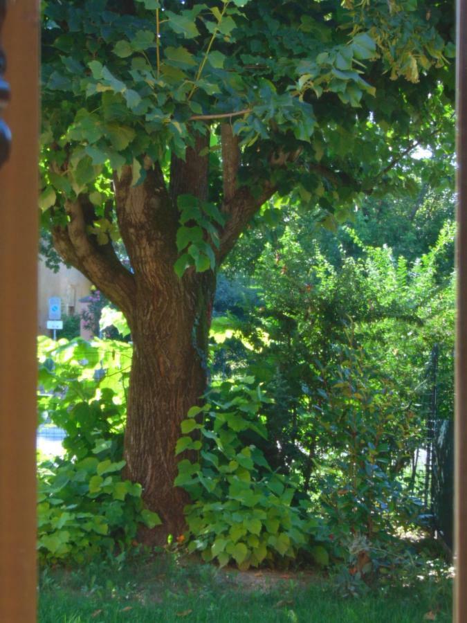 B&B Marana 14 Casa Di Campagna 볼로냐 외부 사진